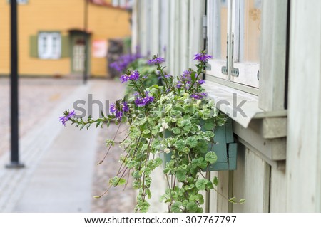 Pot with violet flowering plants in a typical street of small european provincial town, blurred background with selective focus