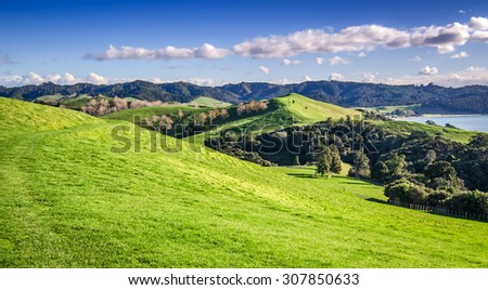 Rolling pasture at Duder Regional Park, Auckland, New Zealand