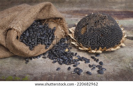 dried Sunflower and seeds in burlap bag on wooden background