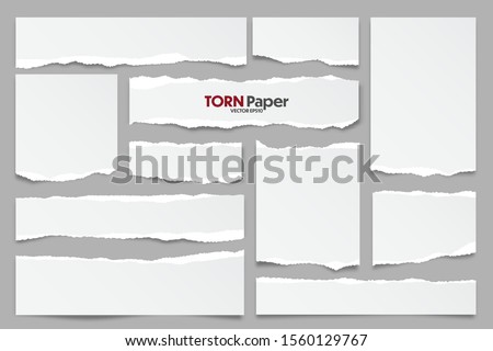 White ripped paper strips collection. Realistic paper scraps with torn edges. Sticky notes, shreds of notebook pages. Vector illustration. Foto stock © 
