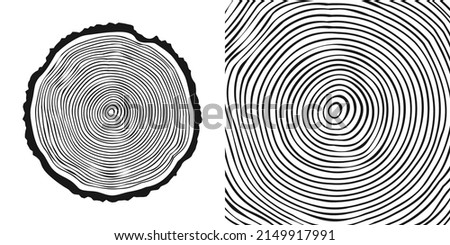 Round tree trunk cut, sawn pine or oak slice. Saw cut timber, wood. Wooden texture with tree rings. Hand drawn sketch. Vector illustration