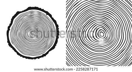 Round tree trunk cut, sawn pine or oak slice. Saw cut timber, wood. Wooden texture with tree rings. Hand drawn sketch. Vector illustration