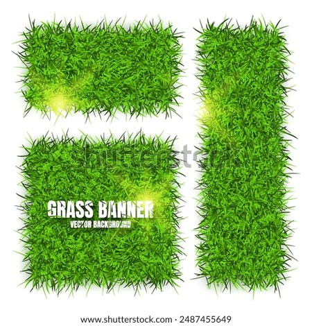 Green grass banners, background. Field, meadow texture, grassy landscape. Organic, bio, eco and natural lifestyle design elements. Ecology and environment protection. Vector illustration