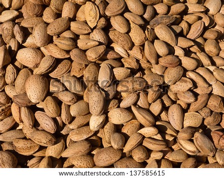 Background of shelled spanish almonds, seen from directly above and in full frame. Macro shot.