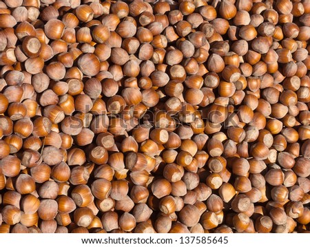 Background of shelled spanish hazelnuts, seen from directly above and in full frame. Macro shot.