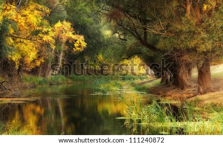 Autumn on river Zagyva