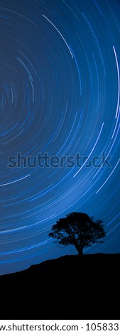 Image of a isolated tree silhouette on a hill with a blue background at night with startrail, as a banner for website