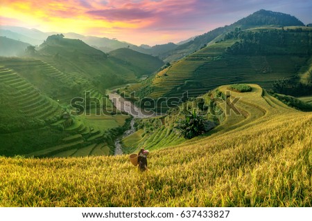 Similar – Foto Bild Reisfelder bei Sapa, Vietnam