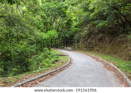 Road through a country park in Hong Kong