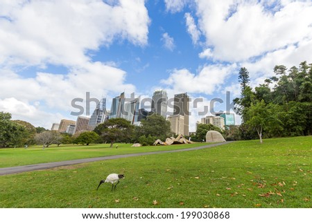 SYDNEY, NSW, AUSTRALIA - May 30, 2014: Early morning parkscape view of the CBD Sydney. The park is Parade Ground, Royal Botanic Gardens