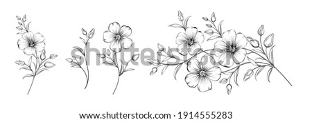 Set of differents flower linen on white background