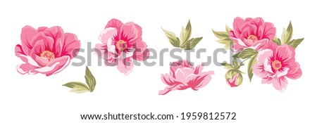 Similar – Foto Bild Wunderschöne rosa-weiße Pfingstrosenblüten auf hellem Hintergrund mit Platz für Text. Postkarte, Gruß, Geschenk. Seitenansicht