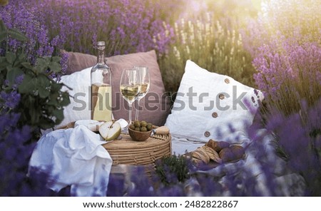 Similar – Image, Stock Photo Lavender in the summer wind
