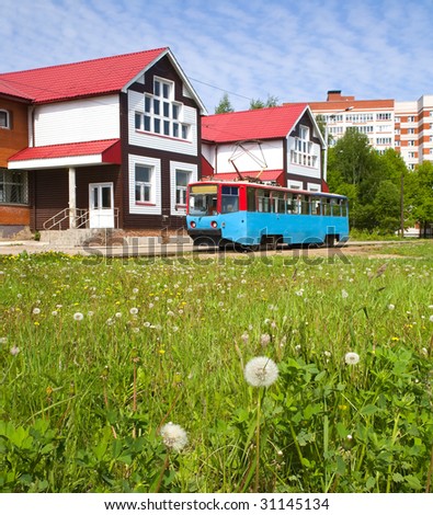 Dandelion and tram near building in the city