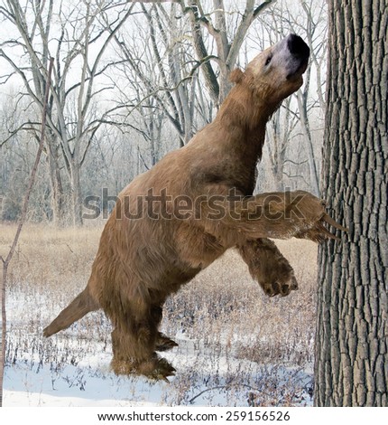 Image, Stock Photo Ice Age | Forest Puddle