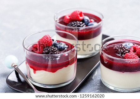 Similar – Image, Stock Photo Delicious Italian panna cotta with red currants in cafe