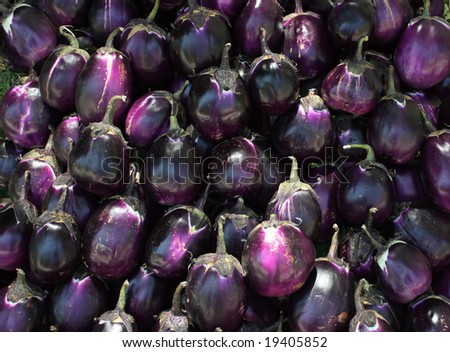 Background of ripe egg-plants on a peasant market