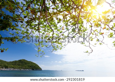 Beautiful beach scene with Tropical almond tree and mountain. Horizontal frame for book covers and backdrop.