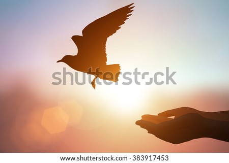 Similar – Image, Stock Photo Lovebirds Nature Sky