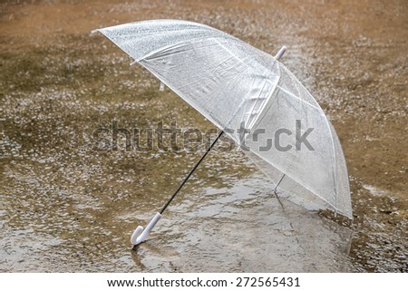 Umbrella  are wet on the ground