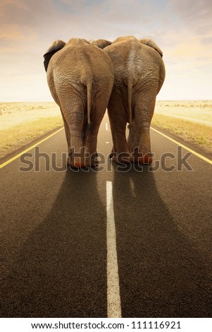 Conceptual - Going away together / travel by road (Digital composite)