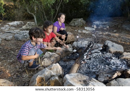 Three kids roasting marshmallows at a campfire