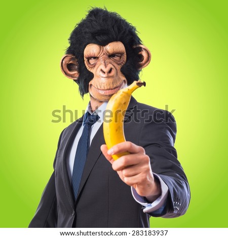 Monkey man holding a banana over colorful background