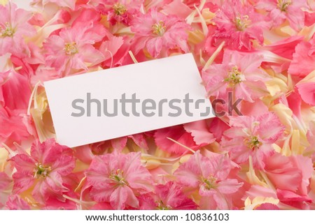 A white business card sits on a bed of pink and yellow flowers.