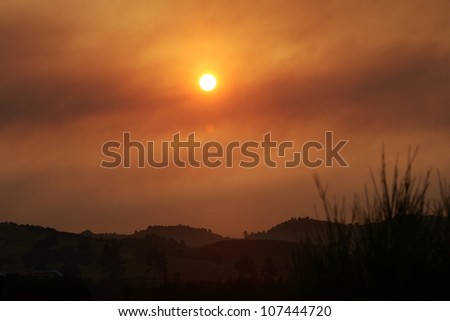 CHALKIDIKI, GREECE - AUGUST, 21 : The sunset over the fire forest on August 21, 2006 in Chalkidiki Peninsula, northern Greece