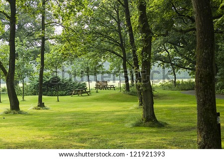 beautiful green park