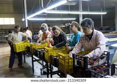 NAOUSSA GREECE- AUGUST 20 2014: Women working at the factory of Agricultural Cooperative of Naoussa Greece. The famous \