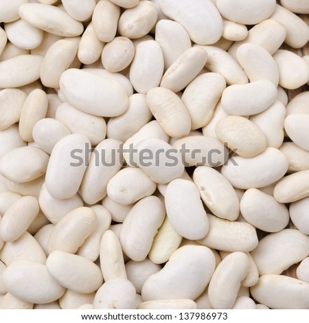 white beans background closeup