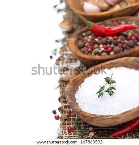 sea salt, hot pepper and spices in wooden bowls, isolated on white