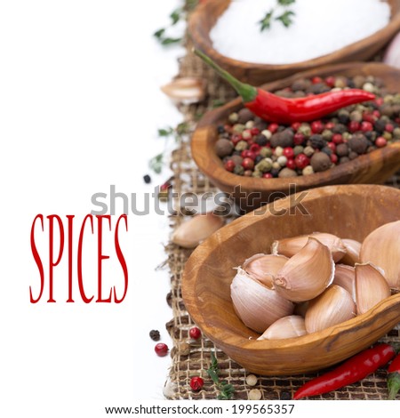 garlic, hot pepper, sea salt and spices in wooden bowls, isolated on white