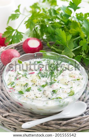 cold vegetable soup with kefir (okroshka), vertical, close-up