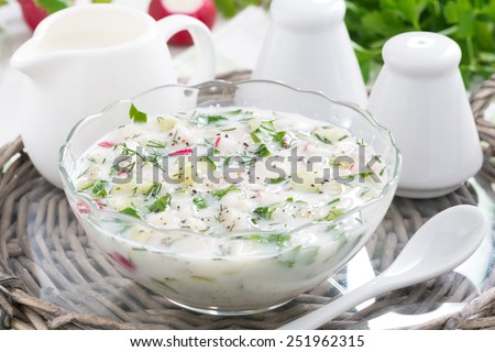 cold vegetable soup with kefir, close-up