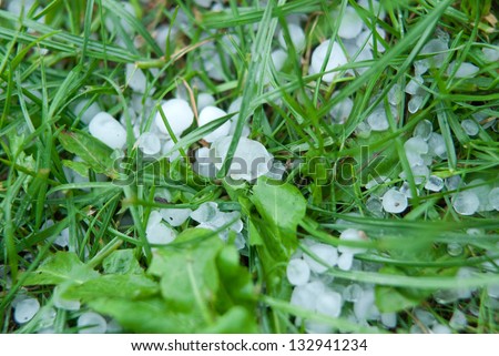 Severe Weather, hail on a grass