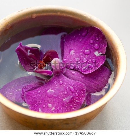 Detail of orchid petals floating on bowl of water