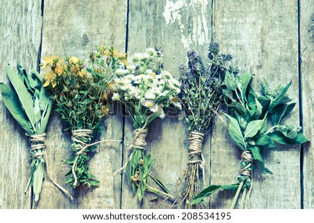 Fresh herbs on wooden background with retro filter effect