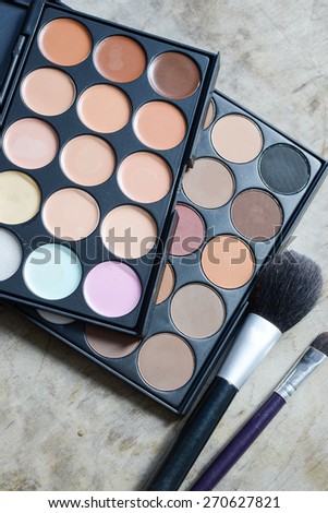 shadow kit with brush for make-up