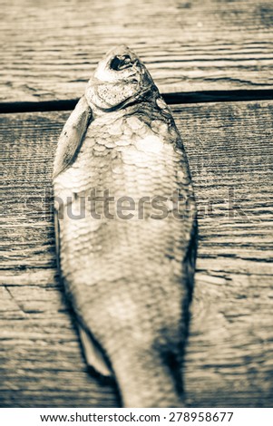 Dry fish on a wooden background