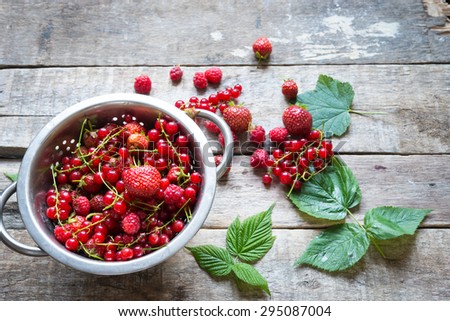 Red summer berries