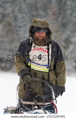 DULUTH MN - JANUARY 27: Peter McClelland in heavy snow at Trail Center on the Boundary Waters leg of the John Beargrease Sled Dog Race (Marathon). McClelland finished 12th January 27 2015 in Duluth MN
