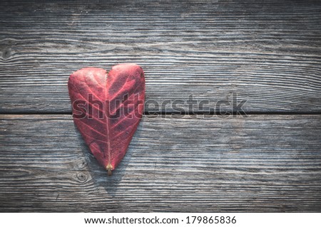 Heart shape leaf on wood background
