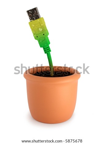 Potted plant with ripely green-yellow usb cable. Isolated on white.