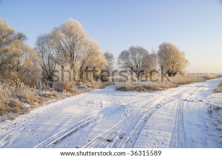 First frosty day. Russia. The Moscow area.