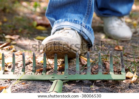 Stepping On Rakes Stock Photo 38006530 : Shutterstock