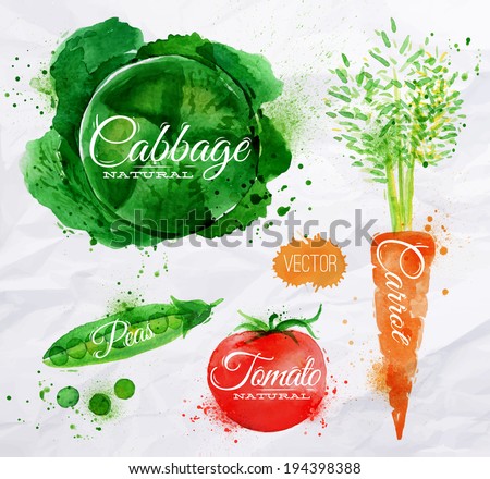 Vegetables set drawn watercolor blots and stains with a spray cabbage, carrot, tomato, peas