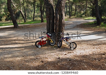 Two children\'s bikes with training wheels parked below a tree in a park.