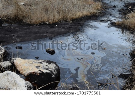 Natural tar water asphalt pit in swamp wetland. Stok fotoğraf © 